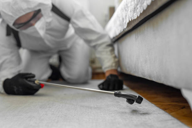 Professional Termite Control technician working in Jericho, NY