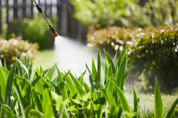 24/7 Emergency Termite Control experts in Jericho, NY